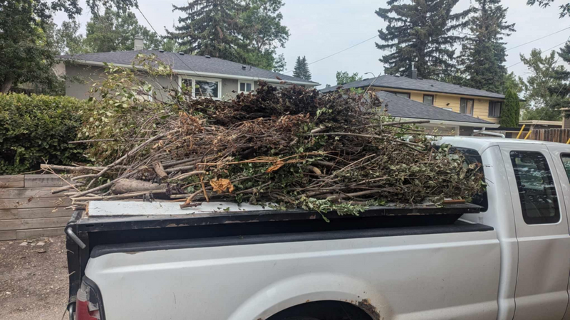 Standard Pick-Up Truck - Curbside Pick Up Yard Waste - Clean loads